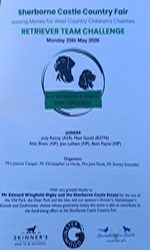 Sherborne Retriever Team Challenge